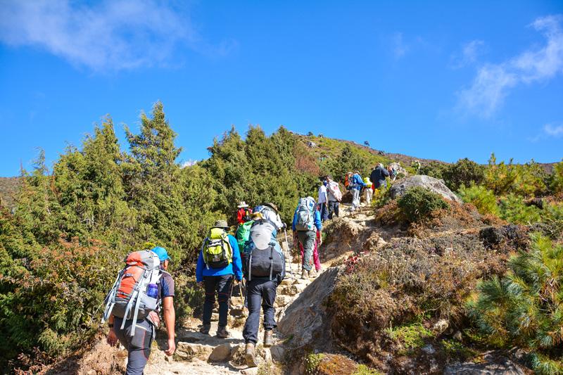 Trek through Everest view Point 