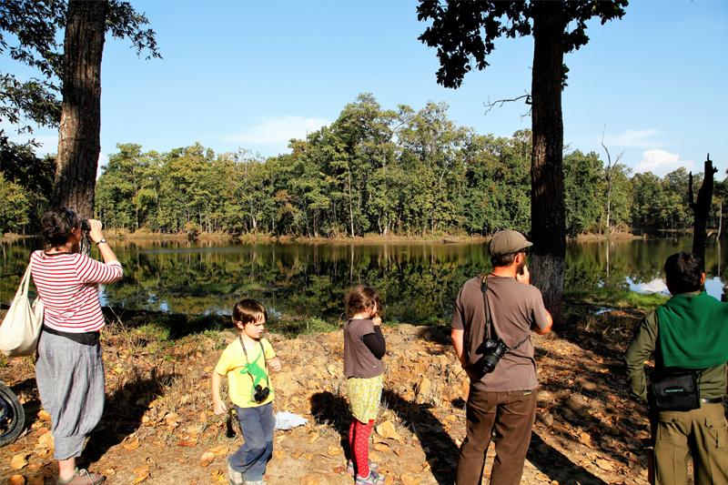 Jungle safari in chitwan national park 